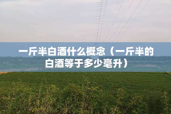 一斤半白酒什么概念（一斤半的白酒等于多少毫升）