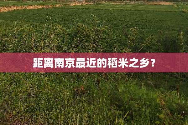 距离南京最近的稻米之乡？