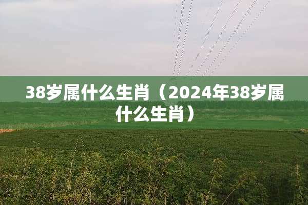 38岁属什么生肖（2024年38岁属什么生肖）