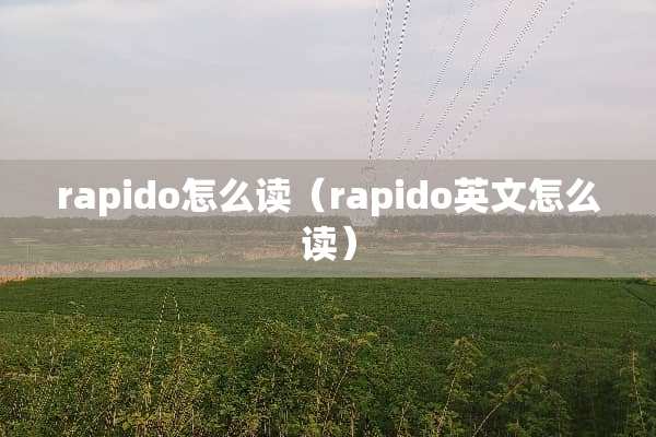 rapido怎么读（rapido英文怎么读）
