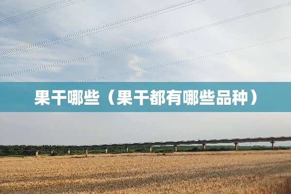 果干哪些（果干都有哪些品种）