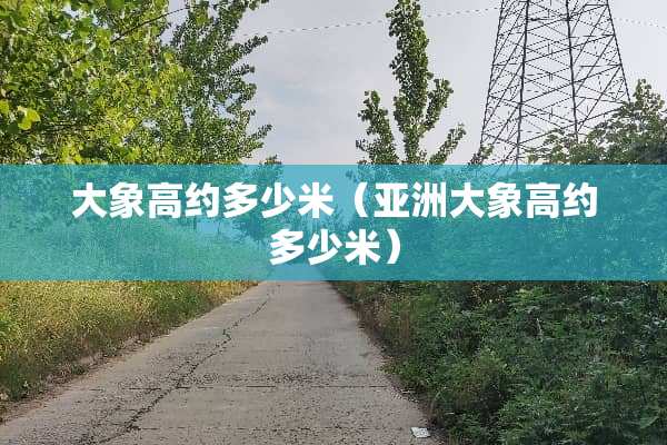 大象高约多少米（亚洲大象高约多少米）