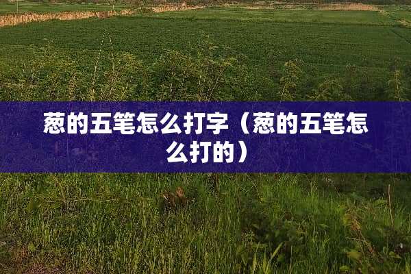 葱的五笔怎么打字（葱的五笔怎么打的）