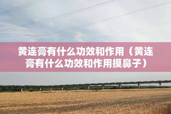 黄连膏有什么功效和作用（黄连膏有什么功效和作用摸鼻子）