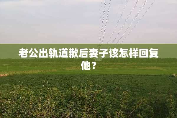 老公**道歉后妻子该怎样回复他？
