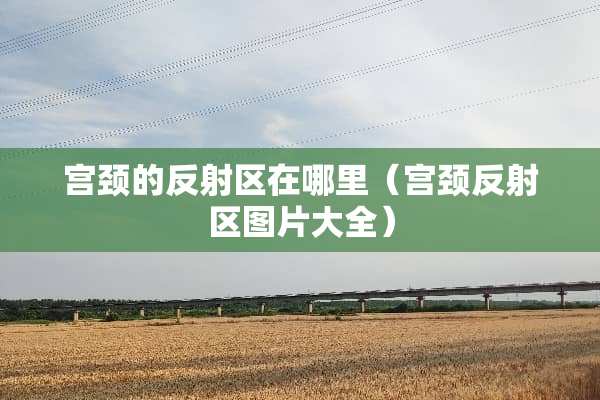 宫颈的反射区在哪里（宫颈反射区图片大全）