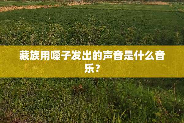 藏族用嗓子发出的声音是什么音乐？