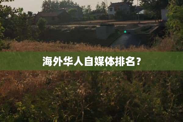 海外华人自媒体排名？