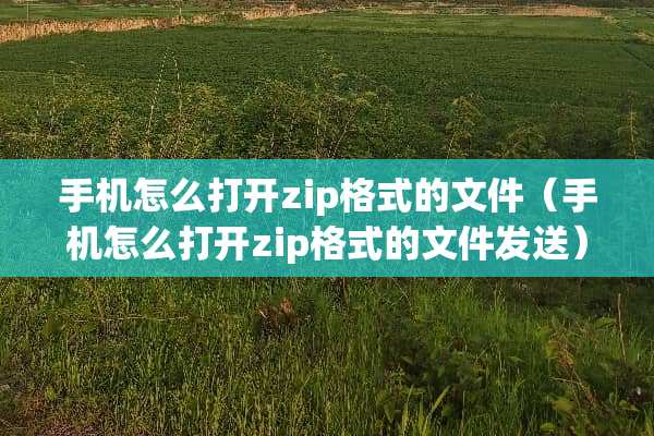 手机怎么打开zip格式的文件（手机怎么打开zip格式的文件发送）