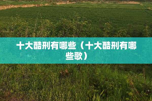 十大酷刑有哪些（十大酷刑有哪些歌）