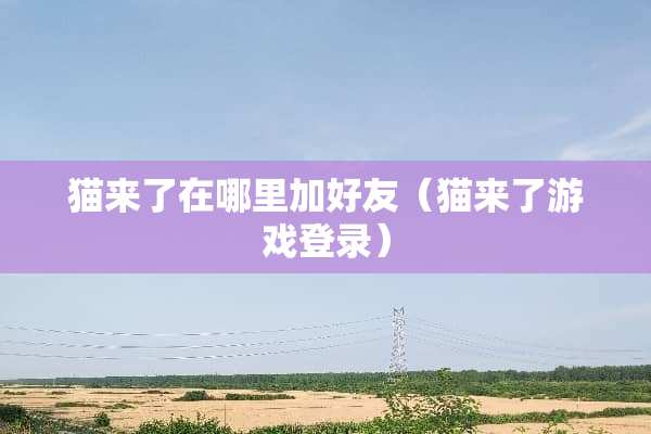 猫来了在哪里加好友（猫来了游戏登录）