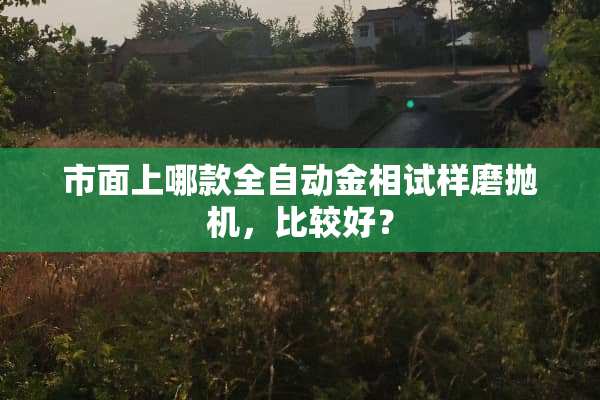 市面上哪款全自动金相试样磨抛机，比较好？