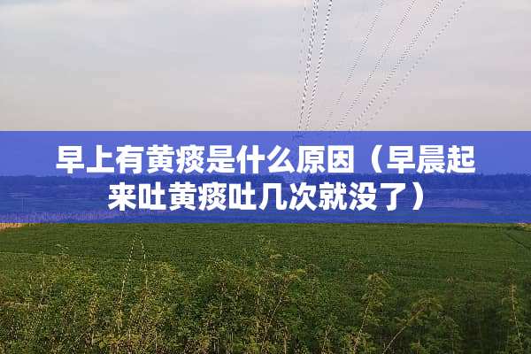 早上有黄痰是什么原因（早晨起来吐黄痰吐几次就没了）