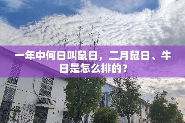 一年中何日叫鼠日，二月鼠日、牛日是怎么排的？