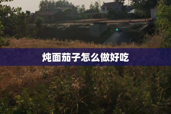 炖面茄子怎么做好吃