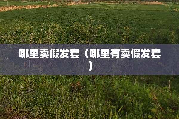 哪里卖假发套（哪里有卖假发套）