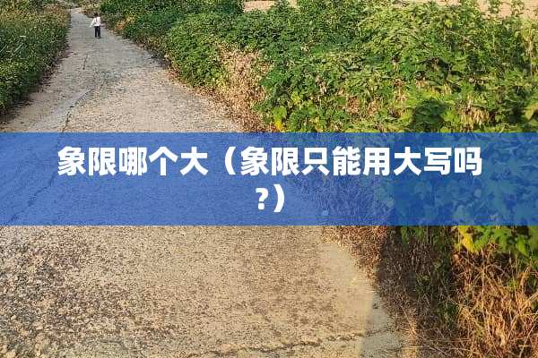 象限哪个大（象限只能用大写吗?）
