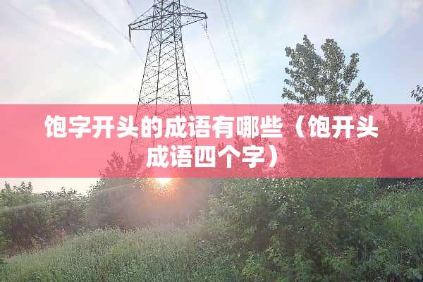 饱字开头的成语有哪些（饱开头成语四个字）