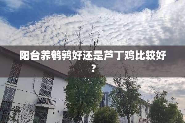 阳台养鹌鹑好还是芦丁鸡比较好？