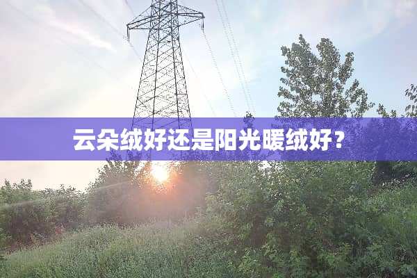 云朵绒好还是阳光暖绒好？