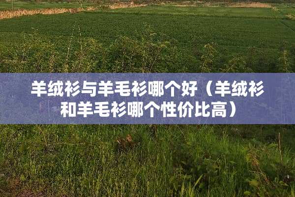 羊绒衫与羊毛衫哪个好（羊绒衫和羊毛衫哪个性价比高）