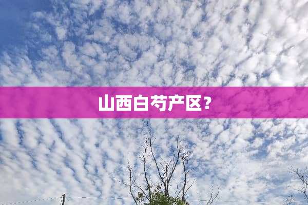 山西白芍产区？