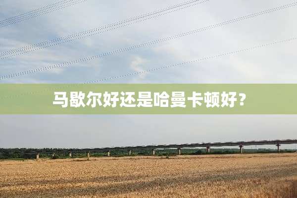 马歇尔好还是哈曼卡顿好？