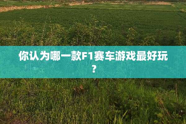 你认为哪一款F1赛车游戏最好玩？