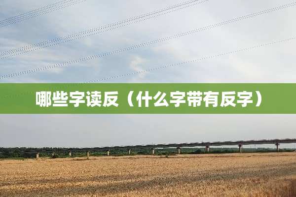 哪些字读反（什么字带有反字）
