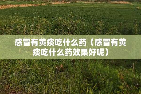 感冒有黄痰吃什么药（感冒有黄痰吃什么药效果好呢）