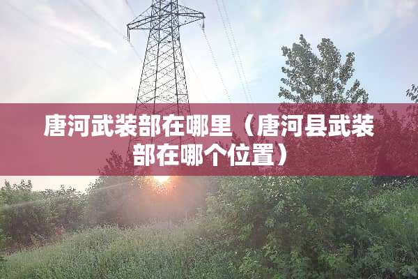 唐河武装部在哪里（唐河县武装部在哪个位置）
