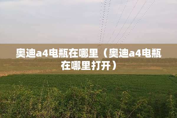 奥迪a4电瓶在哪里（奥迪a4电瓶在哪里打开）