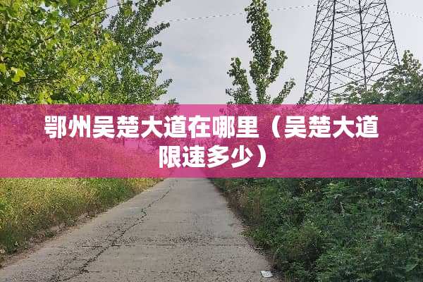 鄂州吴楚大道在哪里（吴楚大道限速多少）