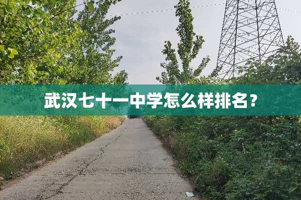 武汉七十一中学怎么样排名？