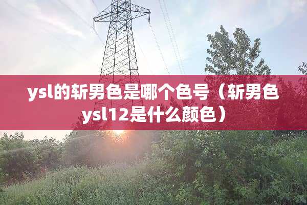 ysl的斩男色是哪个色号（斩男色ysl12是什么颜色）