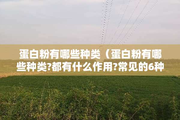 蛋**有哪些种类（蛋**有哪些种类?都有什么作用?常见的6种蛋**）