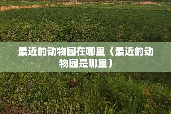 最近的动物园在哪里（最近的动物园是哪里）
