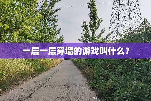 一层一层穿墙的游戏叫什么？