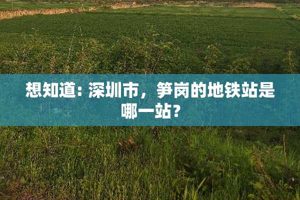 想知道: 深圳市，笋岗的地铁站是哪一站？