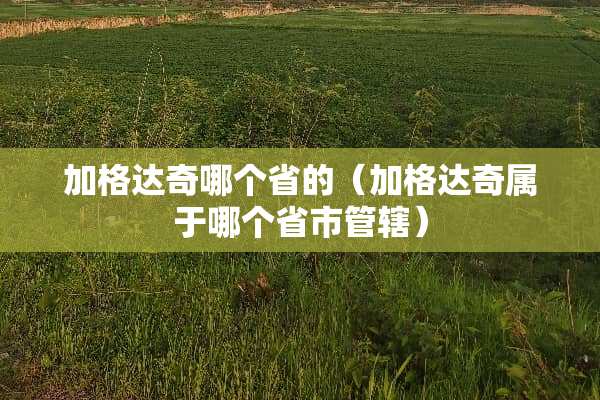 加格达奇哪个省的（加格达奇属于哪个省市管辖）