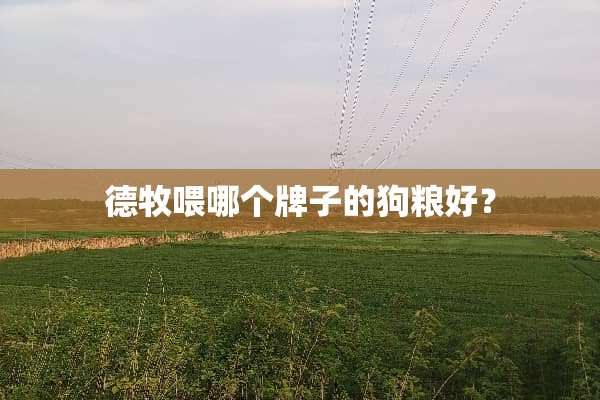 德牧喂哪个牌子的狗粮好？