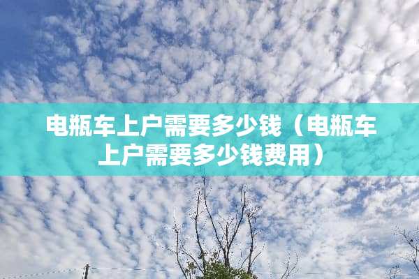 电瓶车上户需要多少钱（电瓶车上户需要多少钱费用）