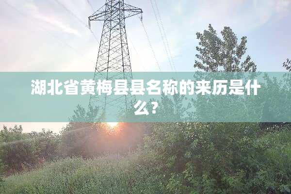 湖北省黄梅县县名称的来历是什么？