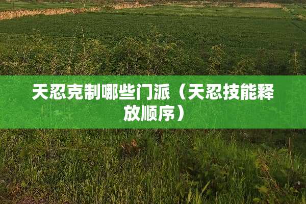 天忍克制哪些门派（天忍技能释放顺序）