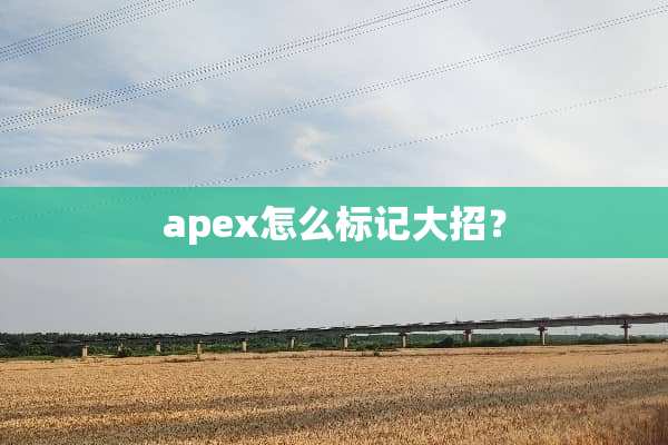 apex怎么标记大招？