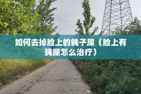 如何去掉脸上的蝇子屎（脸上有蝇屎怎么治疗）