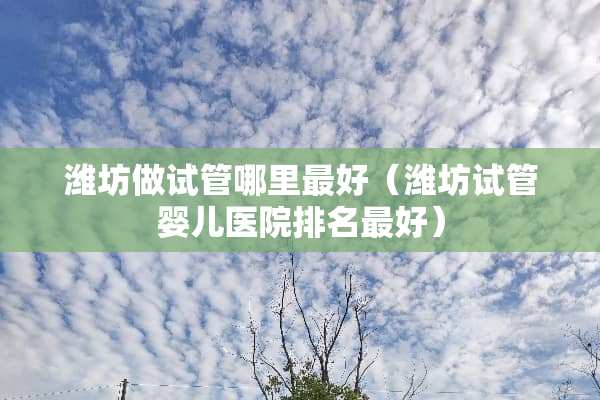 潍坊做试管哪里最好（潍坊试管婴儿医院排名最好）