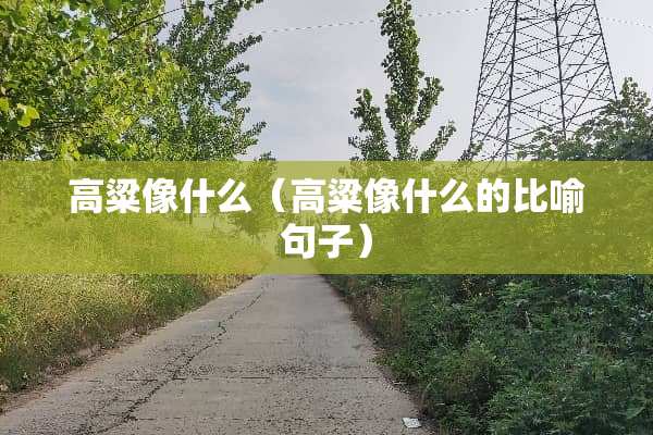 高粱像什么（高粱像什么的比喻句子）