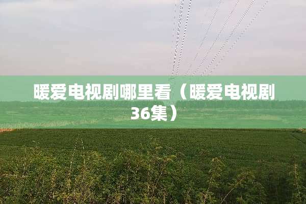 暖爱电视剧哪里看（暖爱电视剧36集）