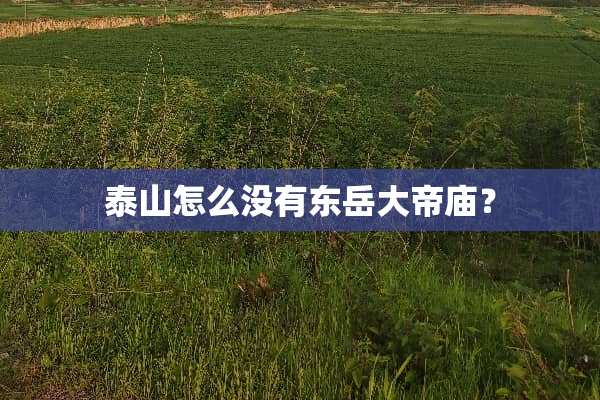泰山怎么没有东岳大帝庙？